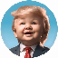 localhost coin-Baby Trump (BSC)(BABYTRUMP)