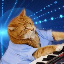 localhost coin-Keyboard Cat(KEYCAT)