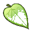  coin-Ninneko (Mata)(MATA)