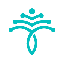  coin-Rejuve.AI(RJV)