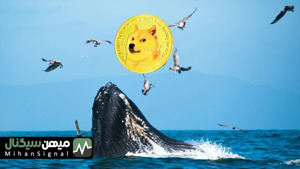 یک نهنگ با 40 میلیون XRP 18.8 میلیون دوج کوین خرید!