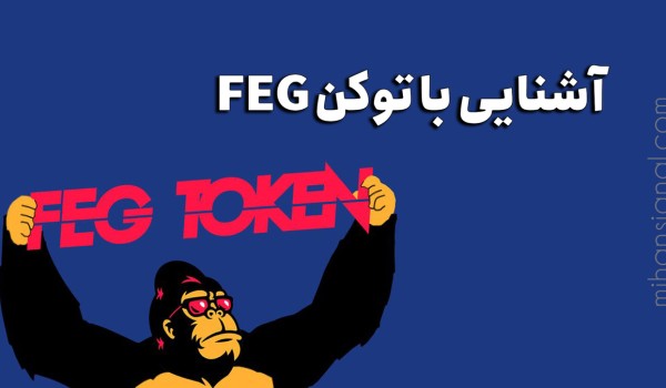 FEG چیست؟