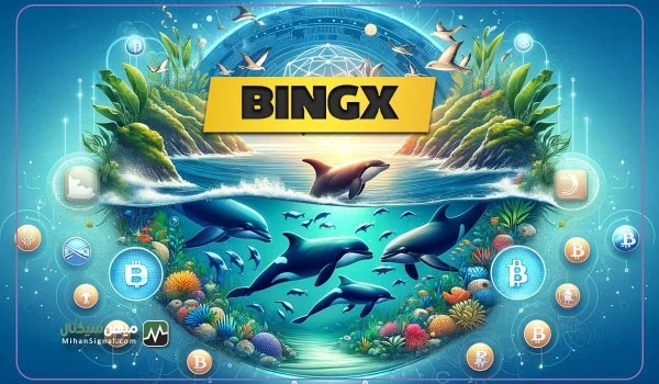همکاری خیریه BingX با WDC به منظور حفاظت از نهنگ ها و دلفین ها