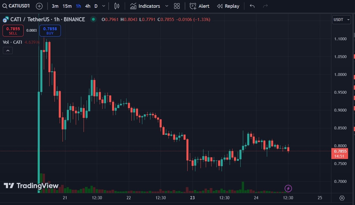 قیمت کتیزن