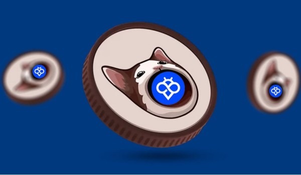 آموزش خرید میم کوین POPCAT از صرافی توبیت